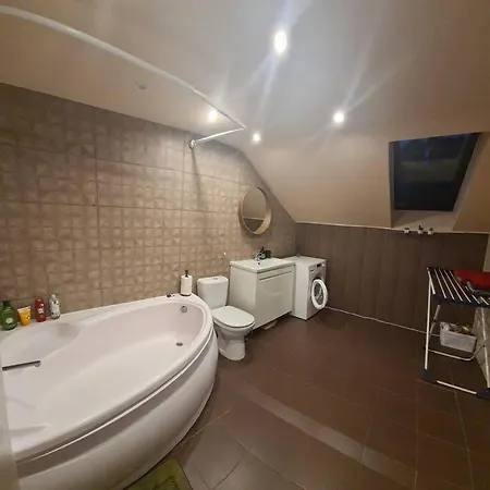 3 Bd Spacy Centrum 110m2 Kaunas