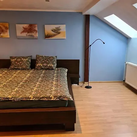 3 Bd Spacy Centrum 110m2 Kaunas