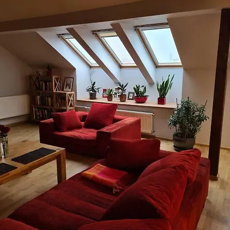 Apartment 3 Bd Spacy Centrum 110m2